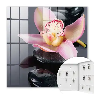 Orchidee in zwarte stenen