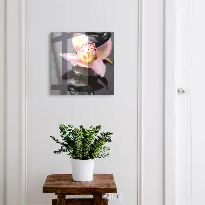 Orchidee in zwarte stenen