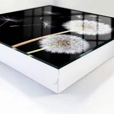 Fijne paardenbloemen zonder stip
