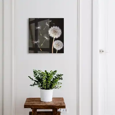 Fijne paardenbloemen zonder stip