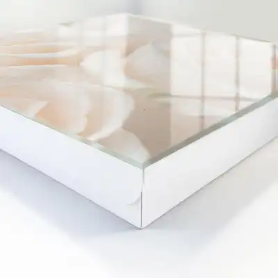 Crèmekleurige rozen in een rustgevende compositie