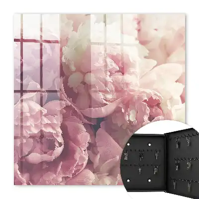 Crème-roze pioenrozen