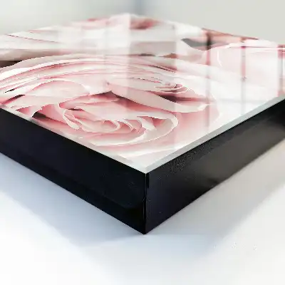 Roze pasteltinten