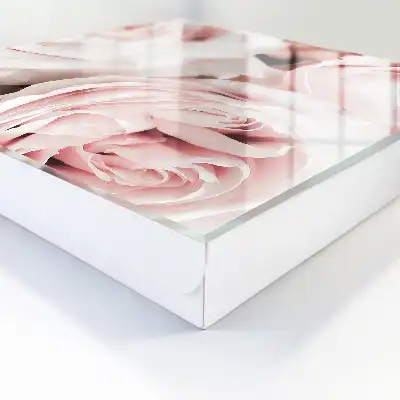 Roze pasteltinten