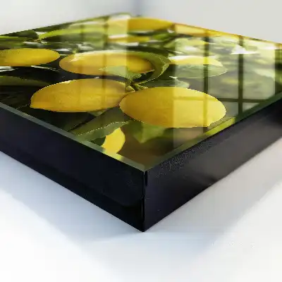 Sappige verse groene bladeren