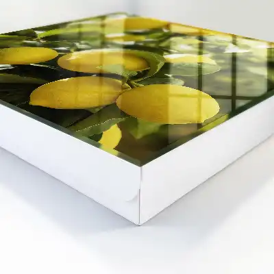 Sappige verse groene bladeren