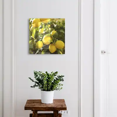 Sappige verse groene bladeren