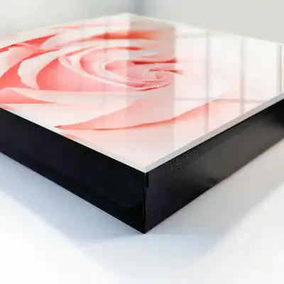 Romantische roos in pasteltinten