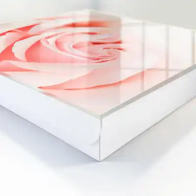 Romantische roos in pasteltinten
