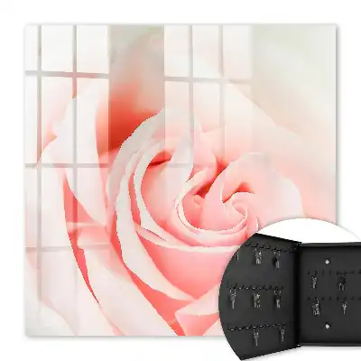 Romantische roos in pasteltinten