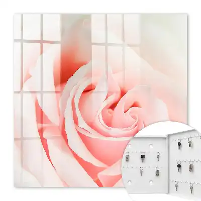 Romantische roos in pasteltinten