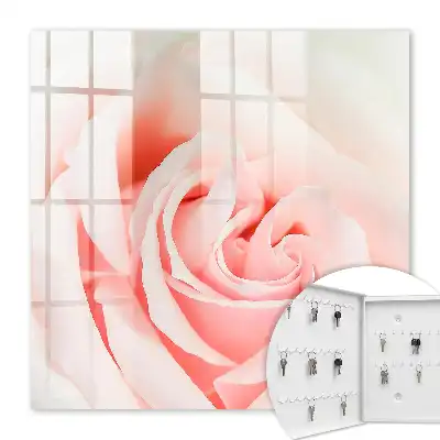 Romantische roos in pasteltinten