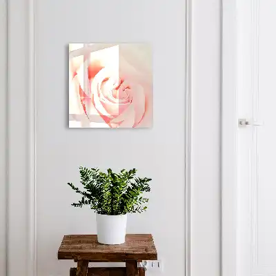 Romantische roos in pasteltinten