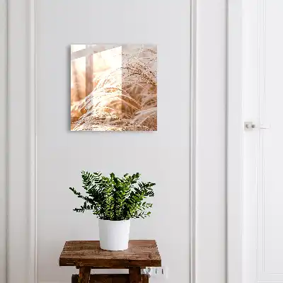 Crèmekleurige siergrassen