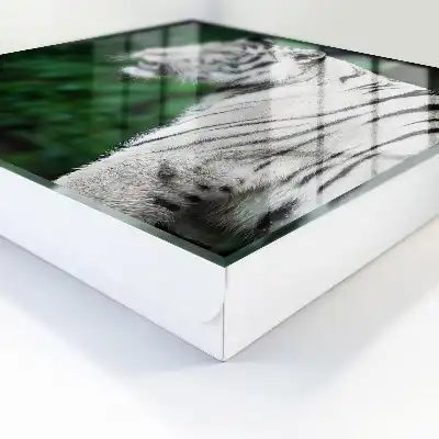 Witte tijger in een groene omgeving