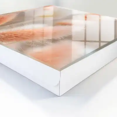 De subtiliteit van de natuur in een delicate waas