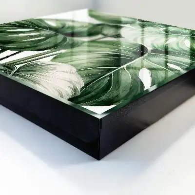 Groene bladeren in witte tinten