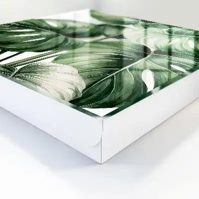 Groene bladeren in witte tinten