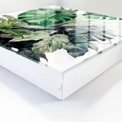 Exotische tropische bladeren