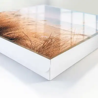 Graslandschap in pastelkleuren