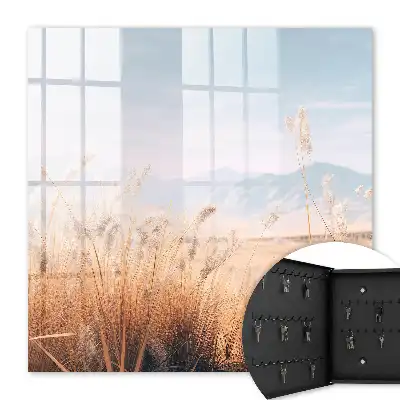 Graslandschap in pastelkleuren