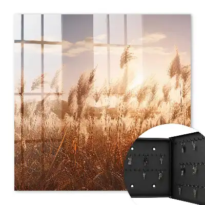 Zonsondergang met gras tegen een heldere lucht