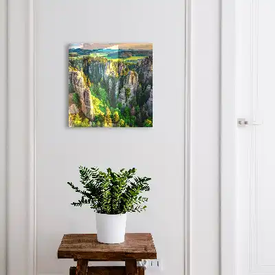 Rotsen en groen bos