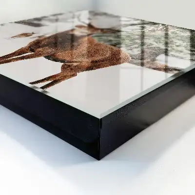 Winterlandschap met herten