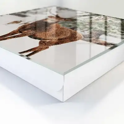 Winterlandschap met herten