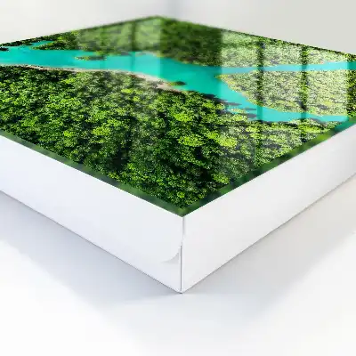 Groen paradijs harmonie van de natuur