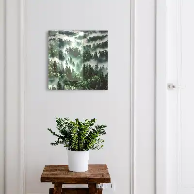 Mistig bos: de charme van de stilte