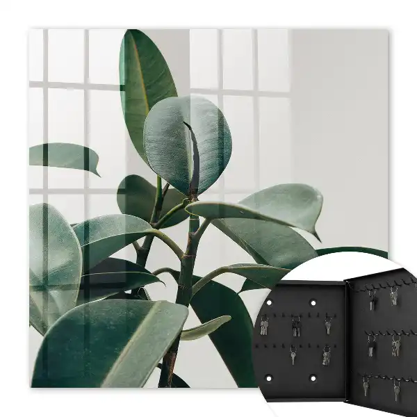 Ficusbladeren op een lichte achtergrond