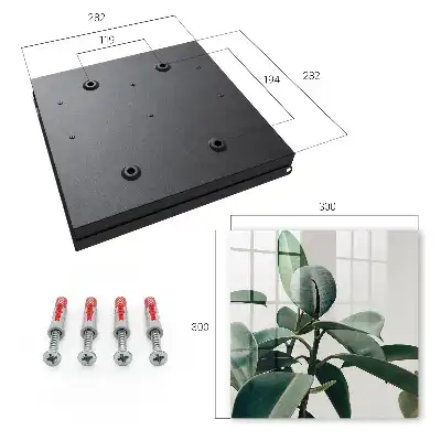 Ficusbladeren op een lichte achtergrond