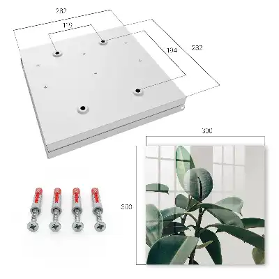 Ficusbladeren op een lichte achtergrond