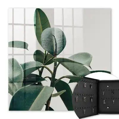 Ficusbladeren op een lichte achtergrond