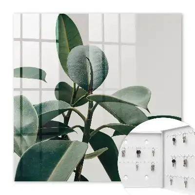Ficusbladeren op een lichte achtergrond