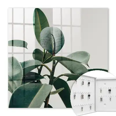 Ficusbladeren op een lichte achtergrond