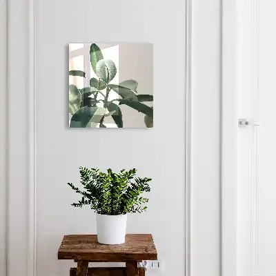 Ficusbladeren op een lichte achtergrond