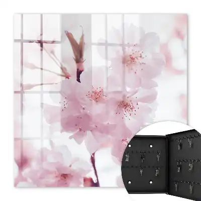 Kersenbloesems vol harmonie