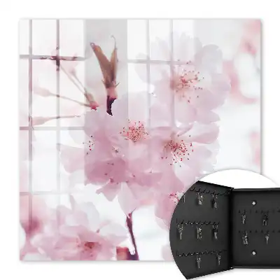 Kersenbloesems vol harmonie