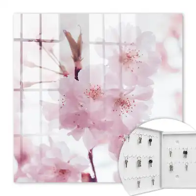 Kersenbloesems vol harmonie
