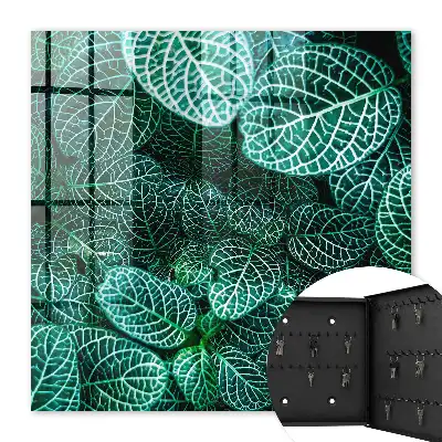 Groene patronen van harmonieuze compositie