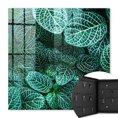 Groene patronen van harmonieuze compositie