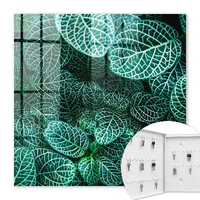 Groene patronen van harmonieuze compositie
