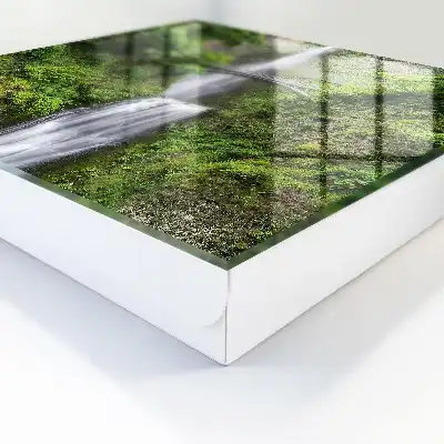 Natuurlijke harmonie omgeven door groen