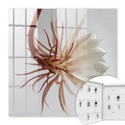 De elegantie van de natuur in subtiele tinten
