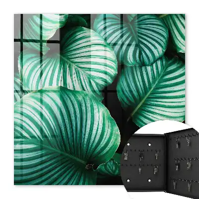 Groene bladstructuur wanddecoratie