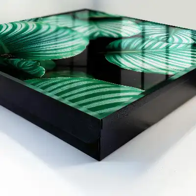 Groene bladstructuur wanddecoratie