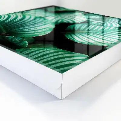 Groene bladstructuur wanddecoratie