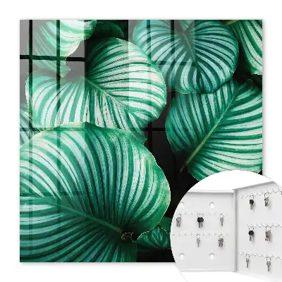 Groene bladstructuur wanddecoratie